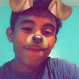 Meet your Posher, Rocky